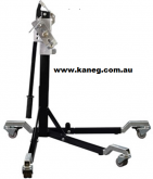 MV Augusta  F4  Kaneg Centre Lift Mate. Post included, SA, TAS