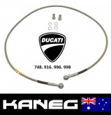 Ducati 916/748/996/998 Spiegler Rear Braided Brake hose set. Post included